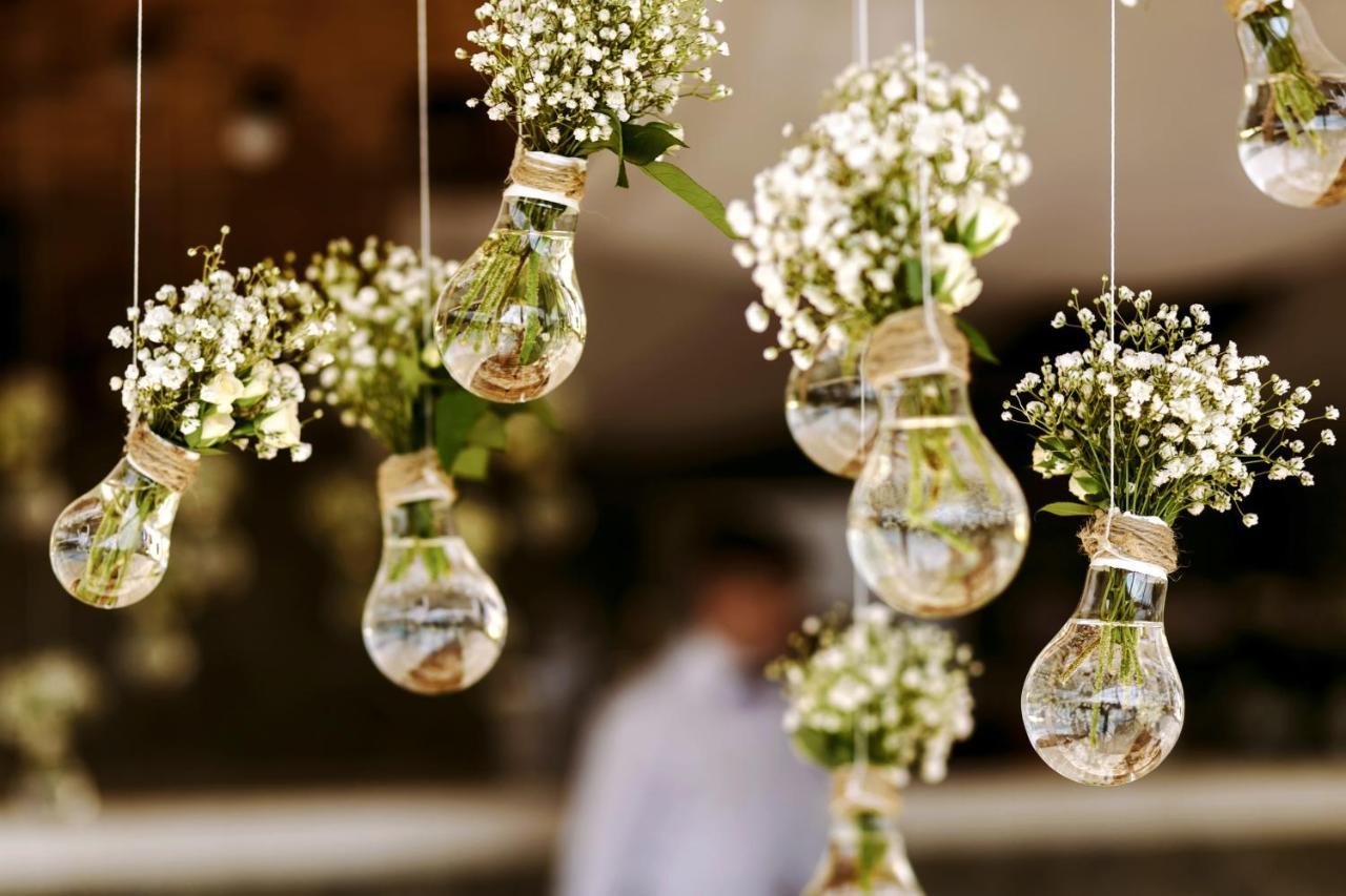 فندق بيكاديلي نيودلهي المظهر الخارجي الصورة Gypsophila paniculata